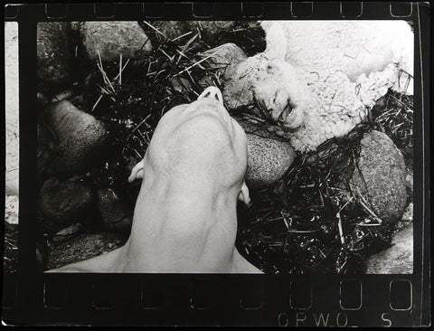 Untitled (self portrait with dead sheep), 1988. Photograph by York der KNOEFEL